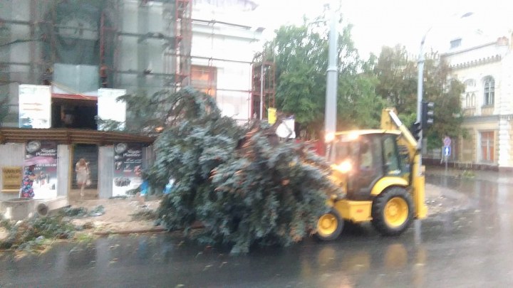 FURTUNĂ VIOLENTĂ în Capitală. ACOPERIŞURI SMULSE şi o creangă căzută peste o femeie. Hidrometeo nu a emis nicio avertizare (VIDEO)