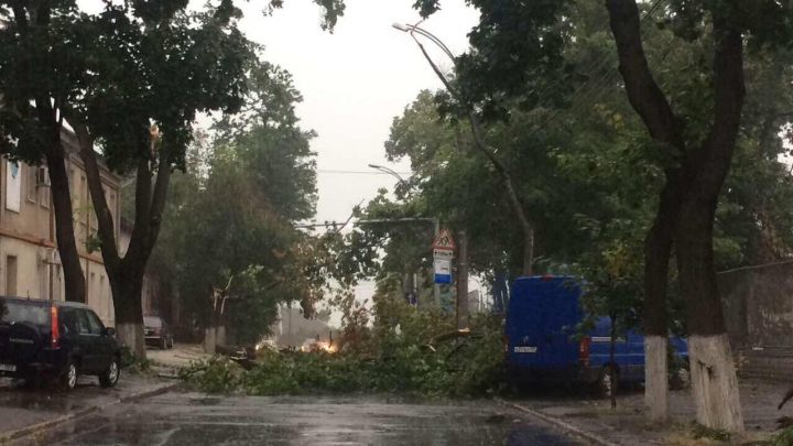 FURTUNĂ VIOLENTĂ în Capitală. ACOPERIŞURI SMULSE şi o creangă căzută peste o femeie. Hidrometeo nu a emis nicio avertizare (VIDEO)