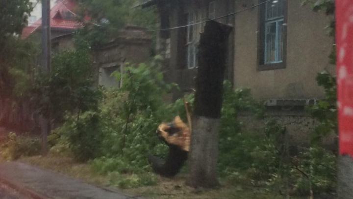 FURTUNĂ VIOLENTĂ în Capitală. ACOPERIŞURI SMULSE şi o creangă căzută peste o femeie. Hidrometeo nu a emis nicio avertizare (VIDEO)