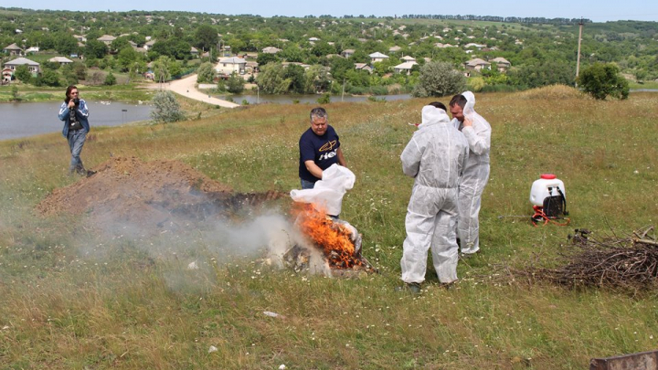 Aplicaţii complexe în raionul Glodeni. Salavatorii au simulat cutremure, incendii şi inundaţii (VIDEO)