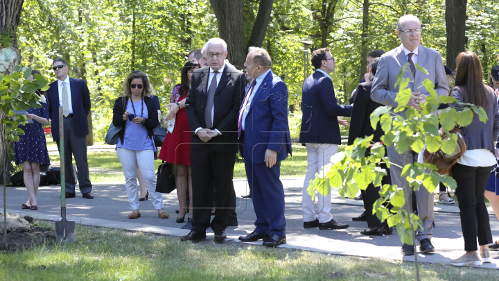 Eveniment turistic de amploare la Chişinău: Oficialii de peste hotare au sădit copaci în Parcul Catedralei (FOTO)