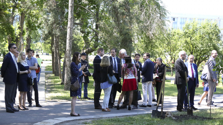 Eveniment turistic de amploare la Chişinău: Oficialii de peste hotare au sădit copaci în Parcul Catedralei (FOTO)