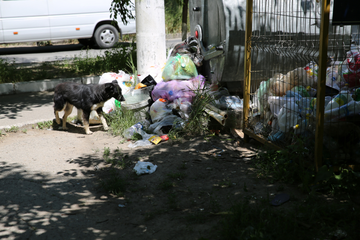 "Ar putea deveni o CATASTROFĂ!" TONE DE GUNOI în Capitală! Oamenii SUNT ÎNGRIJORAŢI (FOTO)