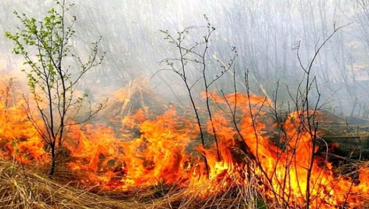 AVERTISMENT: Pericol excepțional de incendiu în ţară. ÎNDEMNUL pompierilor