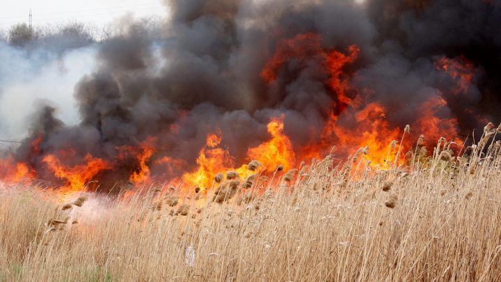 Serviciul Situațiilor Excepționale AVERTIZEAZĂ despre pericolul producerii incendiilor de vegetaţie