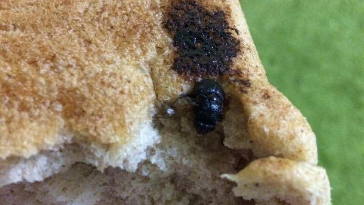 Campania "Consumă responsabil": Ce a găsit un bărbat din Chişinău în pâinea cumpărată de la magazin (FOTO)