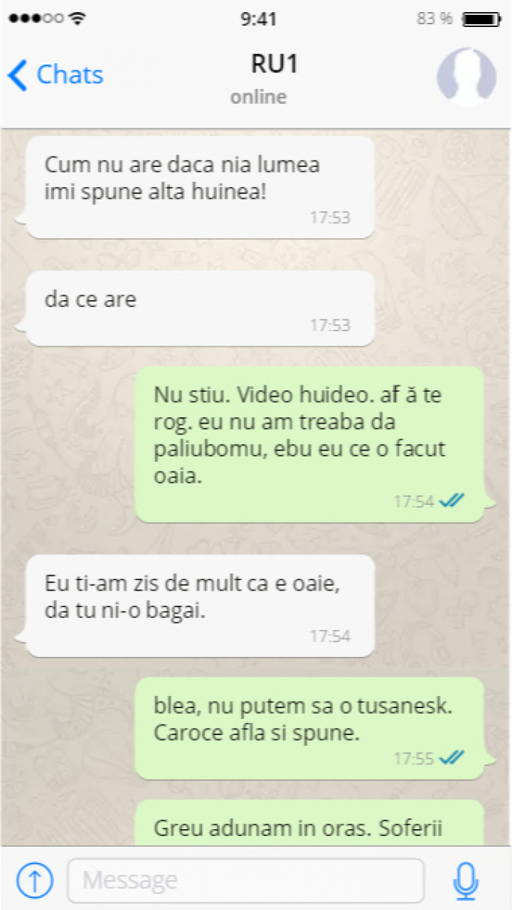 Penalul fugar Renato Usatîi, interceptat de hackeri. Legătura cu Serviciile Secrete Ruse şi raiderul Platon