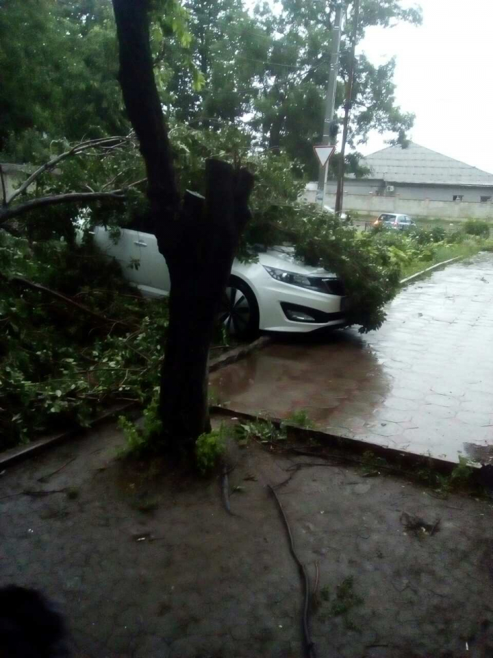 FURTUNĂ VIOLENTĂ în Capitală. ACOPERIŞURI SMULSE şi o creangă căzută peste o femeie. Hidrometeo nu a emis nicio avertizare (VIDEO)