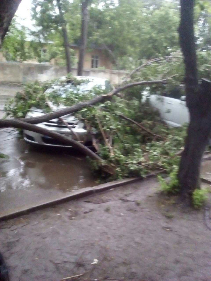 FURTUNĂ VIOLENTĂ în Capitală. ACOPERIŞURI SMULSE şi o creangă căzută peste o femeie. Hidrometeo nu a emis nicio avertizare (VIDEO)