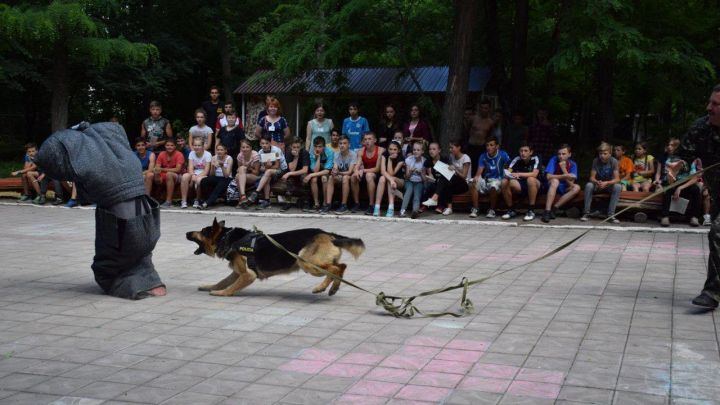 Patrula de informare în acţiune: Siguranţă pentru o vacanță cât mai reușită și protejată (FOTO)