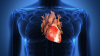 Vrei să știi cât de predispus ești la bolile cardiovasculare? Acest test îți va arăta riscul de a dezvolta afecțiuni ale inimii