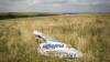 Petro Poroşenko cere Rusiei să-şi asume vina pentru doborârea zborului MH17 Malaysia Airlines