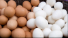 Dar tu știai? Care este adevărata diferență între ouăle albe și cele maro
