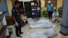 ATAC ARMAT într-un oraş turistic popular din Thailanda. Cel puţin opt persoane au fost împuşcate