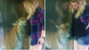 Reacția CUTREMURĂTOARE a unui tigru când vede o femeie însărcinată (VIDEO)