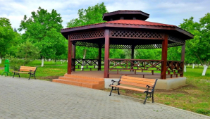 La serviciu, ca la iarbă verde! Un primar le-a construit angajaților un grătar și un foișor, chiar în curtea instuției