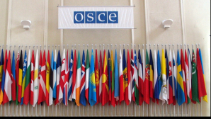Adunara Parlamentară a OSCE a adoptat o rezoluţie privind suveranitatea Ucrainei