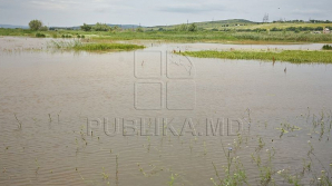 Vreme rea în lume: Statul american Arizona este afectat din cauza inundațiilor din ultimele zile