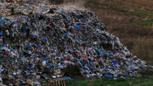 Oraşul Lvov luptă cu tonele de deşeuri care au împânzit aproape toate străzile