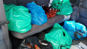 200 de kilograme de mezeluri, transportate ilegal! Un cetățean moldovean a fost prins în zona de frontieră