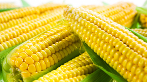 Porumbul fiert, la mare căutare în pieţe. Care este preţul unui ştiulete