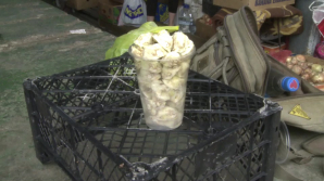 Miez de nucă şi migdale proaspete, în vânzare. Care este preţul pentru o sută de grame