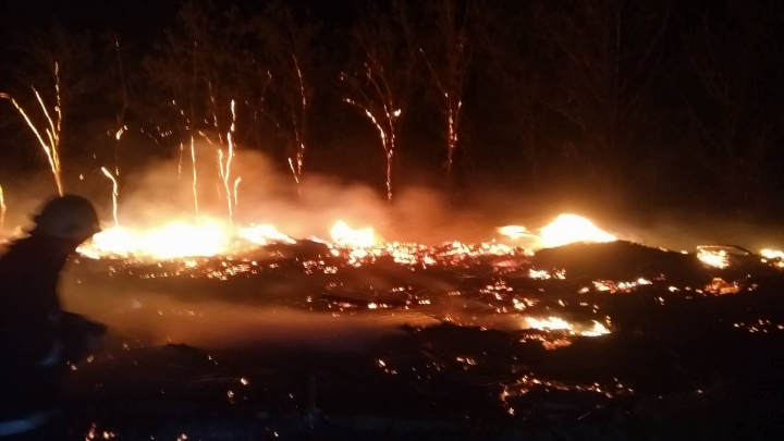 INCENDIU puternic la cimitirul Sfântul Lazăr!  Au ars 100 de metri cubi de lemn colectat în urma intemperiei din aprilie