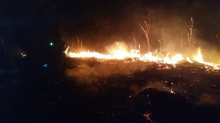 INCENDIU puternic la cimitirul Sfântul Lazăr!  Au ars 100 de metri cubi de lemn colectat în urma intemperiei din aprilie