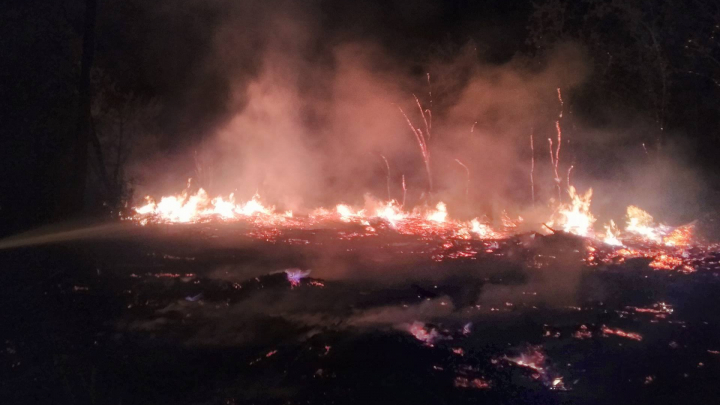 INCENDIU puternic la cimitirul Sfântul Lazăr!  Au ars 100 de metri cubi de lemn colectat în urma intemperiei din aprilie