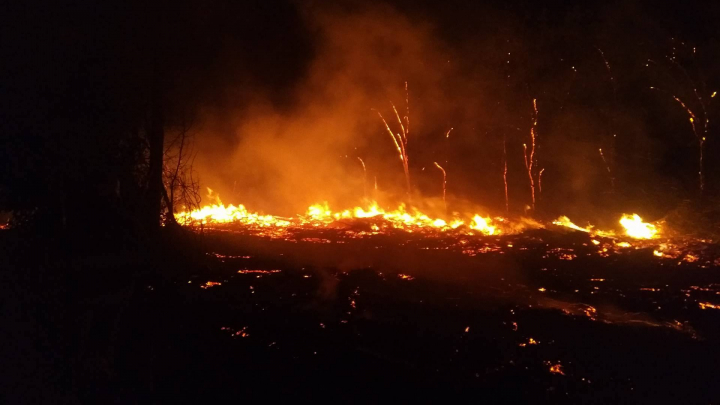 ULTIMA ORĂ! Incendiu puternic la Cimitirul Sfântul Lazăr din Capitală (GALERIE FOTO)