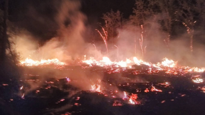 INCENDIU puternic la cimitirul Sfântul Lazăr!  Au ars 100 de metri cubi de lemn colectat în urma intemperiei din aprilie