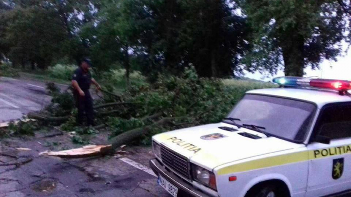 Furtuna din această seară a făcut RAVAGII în mai multe raioane ale ţării (FOTO/VIDEO)