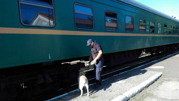 Marijuană descoperită în trenul de pe ruta "Chișinău-Moscova". Unde era camuflată substanța narcotică (FOTO)