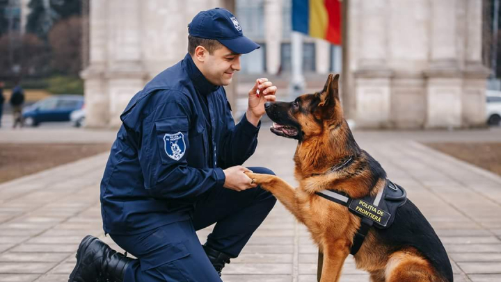 Câinii Poliției de Frontieră, adevărați campioni europeni. Patrupezii au participat la "Săptămâna Chinologică Europeană"