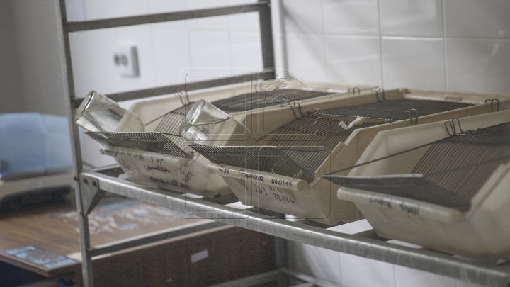 Cum arată o zi de lucru la Centrul Naţional de Sănătate Publică (FOTOREPORT)