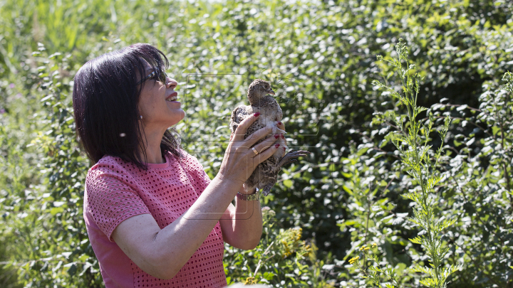 Deputaţii au lăsat pentru o zi munca de birou şi au ales să meargă... la vânătoare (FOTO)