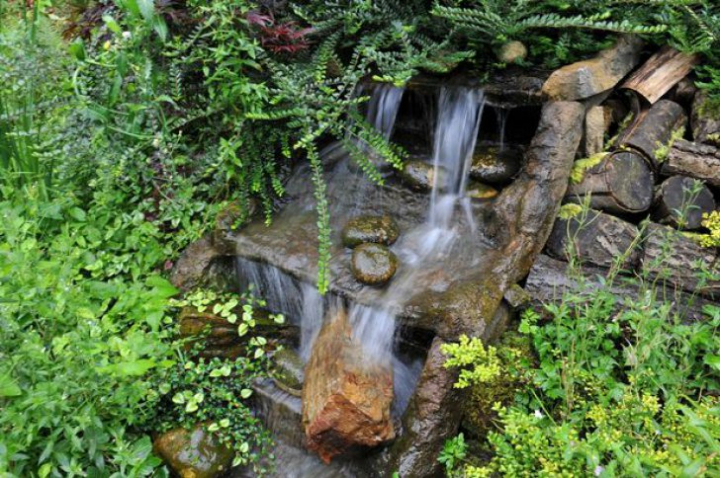 Incredibil! O pensionară de 71 de ani a cumpărat o mlaştină. A transformat-o SPECTACULOS (FOTO)