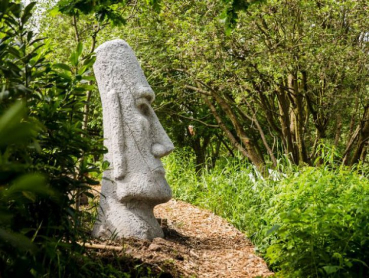 Incredibil! O pensionară de 71 de ani a cumpărat o mlaştină. A transformat-o SPECTACULOS (FOTO)