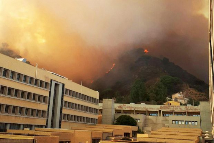 Incendiile au pus stăpânire pe Sicilia. Pompierii s-au confruntat cu peste  500 de focare (FOTO)