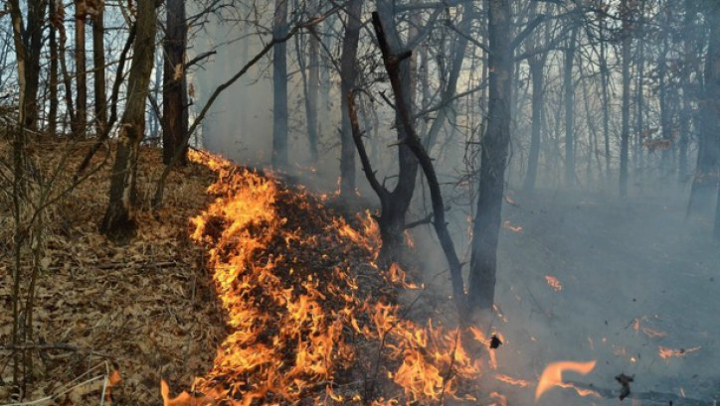 Incendiile devastatoare continuă să mistuie Croația. Peste 400 de pompieri luptă cu flăcările 