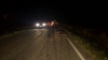 Accident neobișnuit în România! O Dacia Sandero a reușit să omoare nu mai puțin de 33 de mistreți