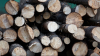 Moldovenii se pregătesc pentru iarnă: Cei care au procurat lemne mai devreme le-au despicat şi le-au aranjat în depozit