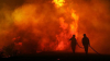 Incendiu devastator în Spania. Mii de hectare au fost distruse de flăcări 
