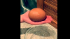 Găina sa făcuse un ou imens. Când l-a spart, uimirea a fost și mai mare (FOTO/VIDEO)