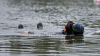 Trei bărbaţi şi-au pierdut viaţa după ce au decis să se răcorească în apa Nistrului