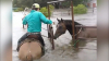 Furtuna Harvey continuă să inunde totul în calea sa. Caii unei herghelii salvaţi în ultima clipă (VIDEO)