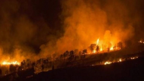 Portugalia, mistuită de flăcări.  1600 de pompieri luptă cu incendiile de vegetaţie