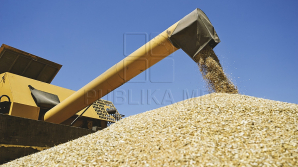 Anul recoltelor bogate în nordul ţării. La Floreşti au fost premiaţi cei mai buni fermieri