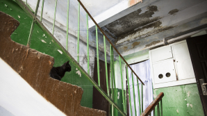 ALUNGAŢI ÎN STRADĂ ÎNAINTEA SĂRBĂTORILOR. O familie cu patru copii care locuiesc în subsolul unui bloc, daţi afară pentru că s-a deschis un magazin