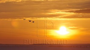 Agricultorii din ţară, ÎNGRIJORAŢI de schimbările climatice. Ce spun specialiştii